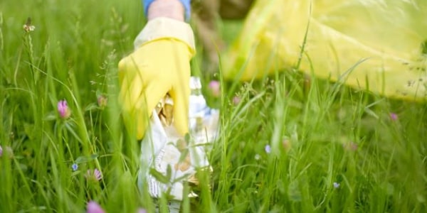 クリーンアップ活動の画像